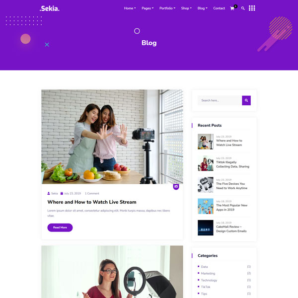 Sekia Theme